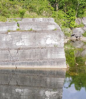 Fisk Quarry. The white mounds in the rock are stromatoporoids. Photo by Mike Winslow.