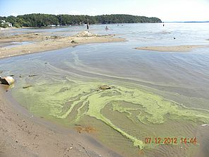 A blue-green algae bloom in process on Lake Champlain. Photo by Jessica Rossi.