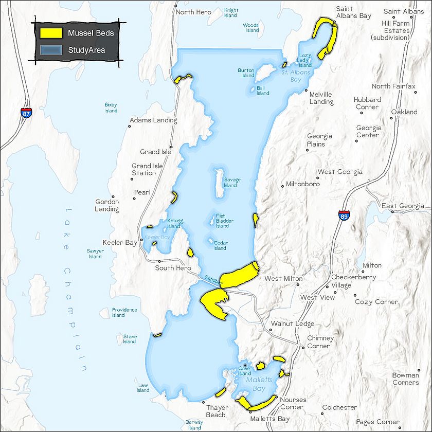 Map of Lake Champlain depicting the area studied by the Lake Champlain Committee and Arrowwood Environmental.