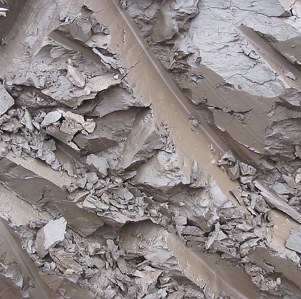 Learn about clay soils in the Champlain Valley. Photo by Wikipedia.