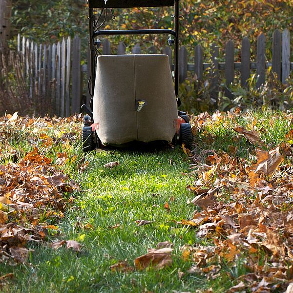 Photo by Chiot's Run.