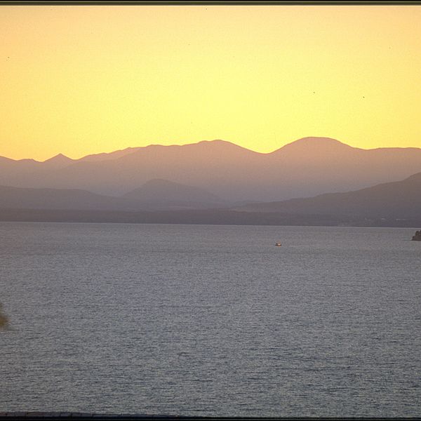 Photo by Carolyn Bates.