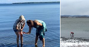Photo collage of women standing in a lake looking at the water in different weather conditions.