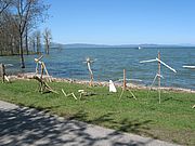 Driftwood sculptures on Burlington’s waterfront. Photo by Lori Fisher.