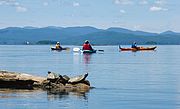 Photo of turtles on a log in Lake Champlain with kayakers in the background.
