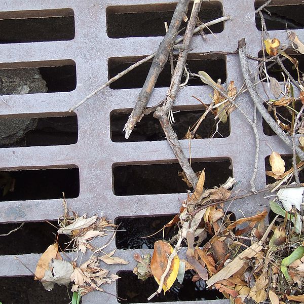 Remove debris from stormdrains so it doesn’t end up in waterways. Photo by www.morguefile.com.