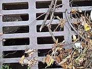 Remove debris from stormdrains so it doesn’t end up in waterways. Photo by www.morguefile.com.
