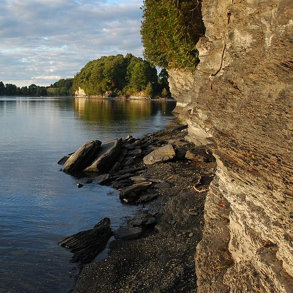 Photo by Trip Kenney.