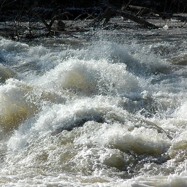 How do fish cope with floods? Photo by Kevin Connors.