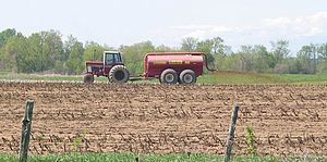 Farm bill policies impact food prices at supermarkets, crop decisions on local farms, and water quality in Lake Champlain. Photo by Mike Winslow.