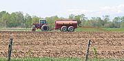 Farm bill policies impact food prices at supermarkets, crop decisions on local farms, and water quality in Lake Champlain. Photo by Mike Winslow.