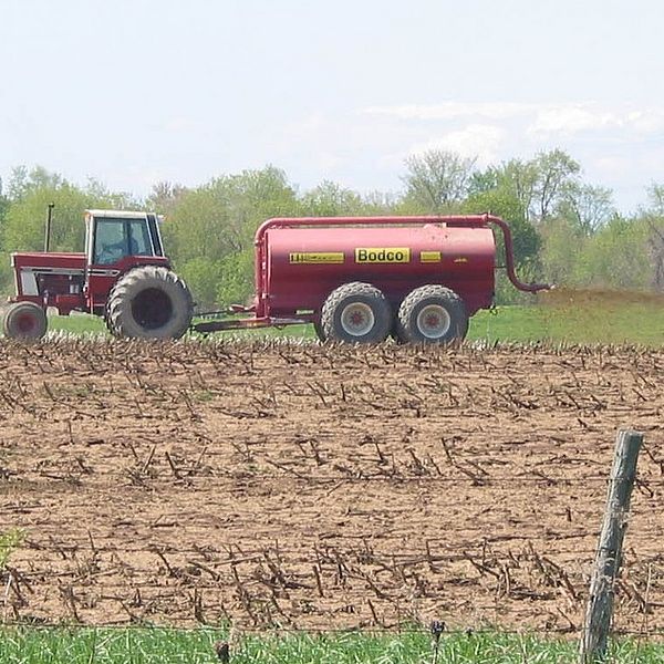 Farm bill policies impact food prices at supermarkets, crop decisions on local farms, and water quality in Lake Champlain. Photo by Mike Winslow.