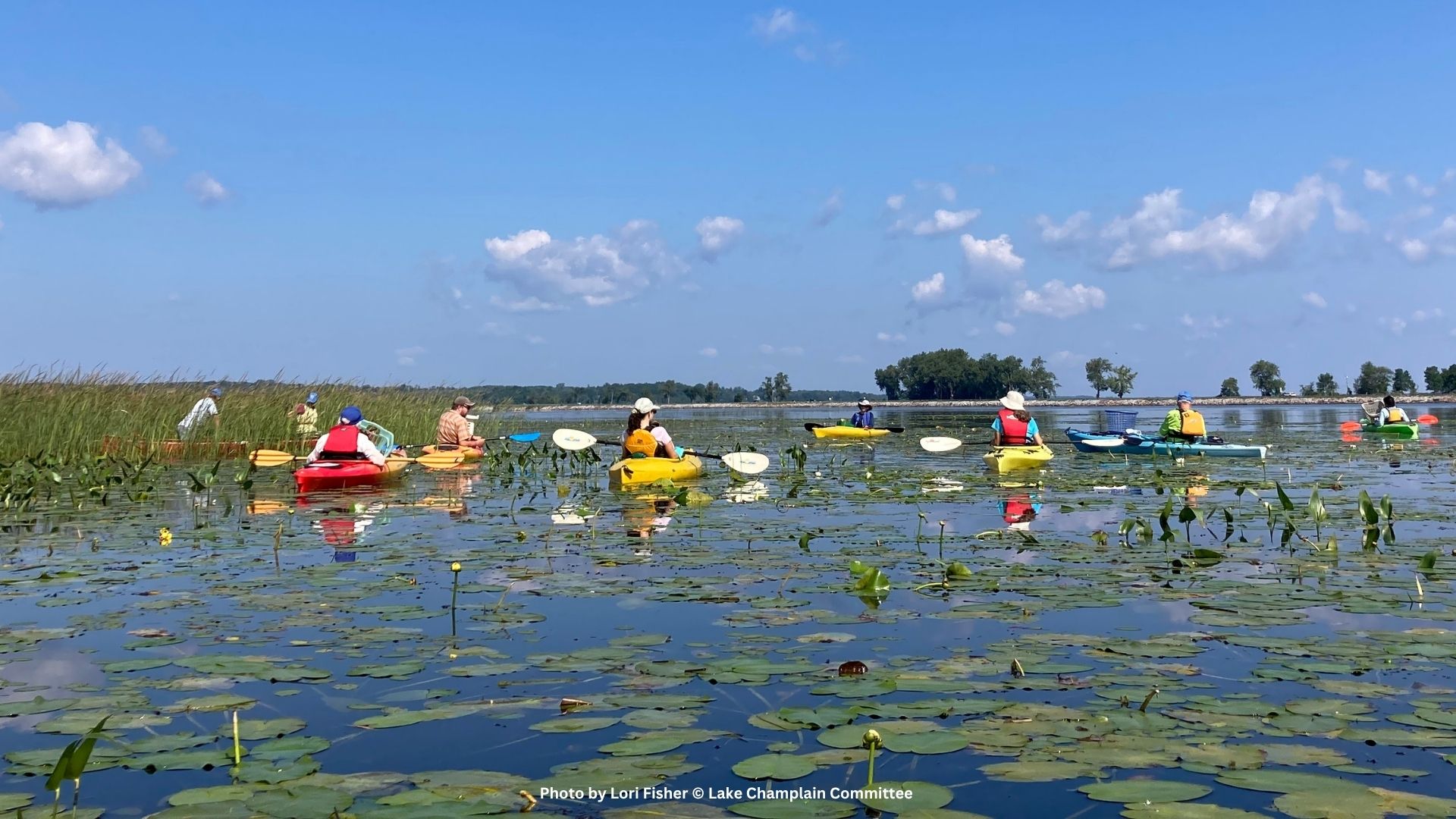 Conservation Block Party, Paddle, and Aquatic Plant Workshop